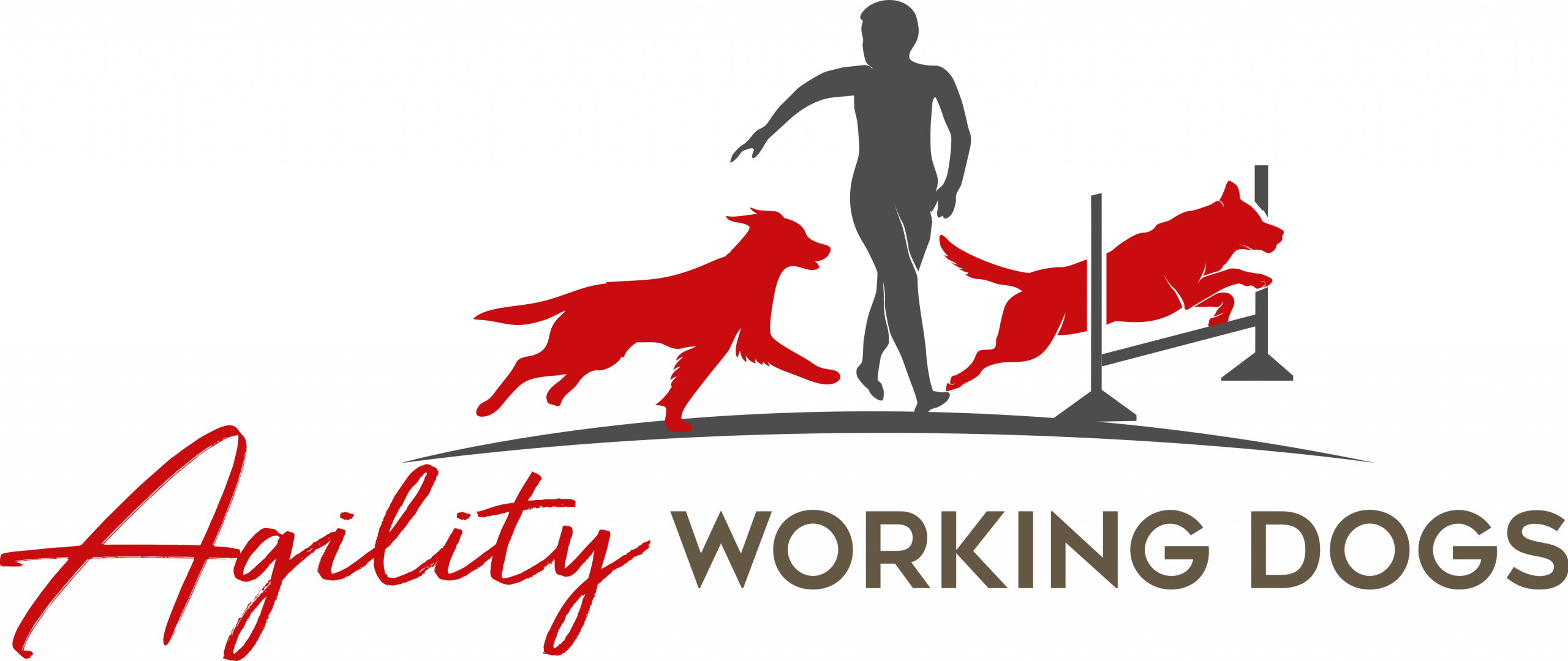 Agility Working Dogs – Erziehung und Hundesport